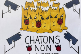 Les chatons ne veulent pas de Chat Control