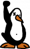 logo liberta